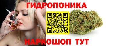 дурь Будённовск